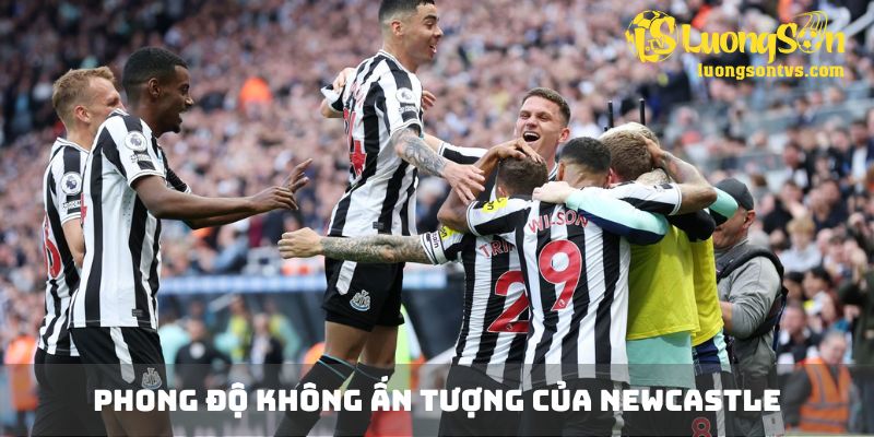 Newcastle cần tỉnh táo để nhận thêm chiến thắng